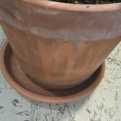 Sale Photo Thumbnail #428