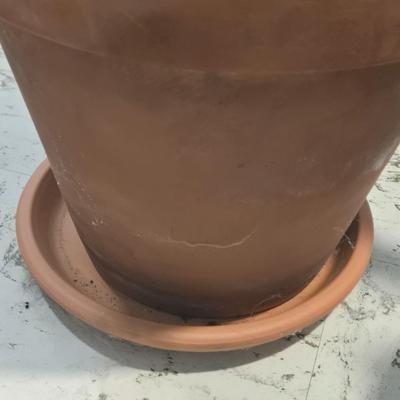 Sale Photo Thumbnail #429