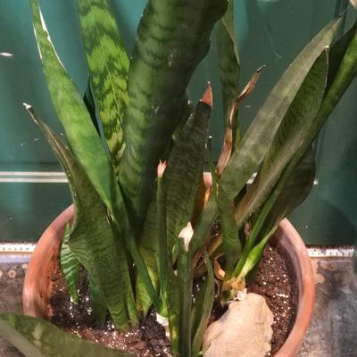 Sale Photo Thumbnail #425