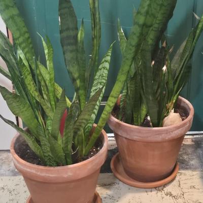 Sale Photo Thumbnail #430