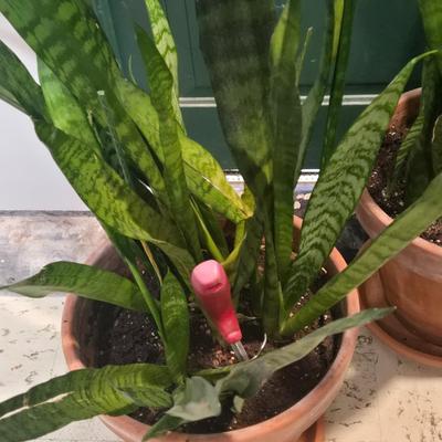 Sale Photo Thumbnail #424