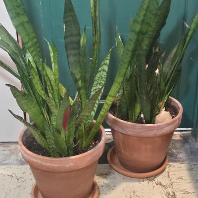 Sale Photo Thumbnail #423