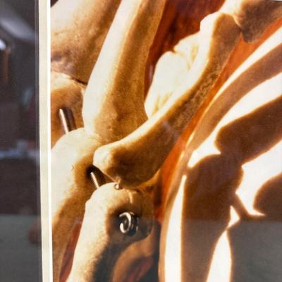 Sale Photo Thumbnail #376: 19.5x1.5