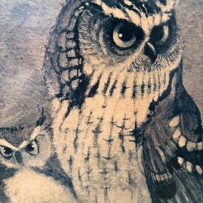 Sale Photo Thumbnail #567: Fox 21.5 x 17.5, owl 15x21