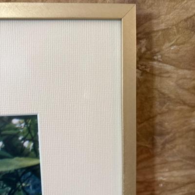 Sale Photo Thumbnail #630: There is a crack in the glass. 25.5 x 36