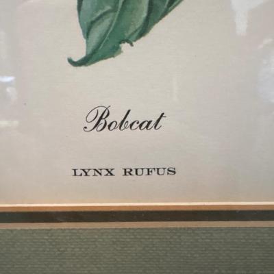 Sale Photo Thumbnail #642: Appears to be signed by artist. 29 x 35