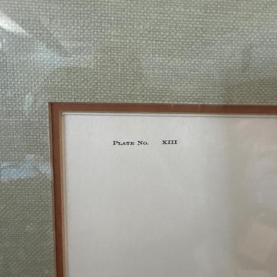 Sale Photo Thumbnail #650: 29x35