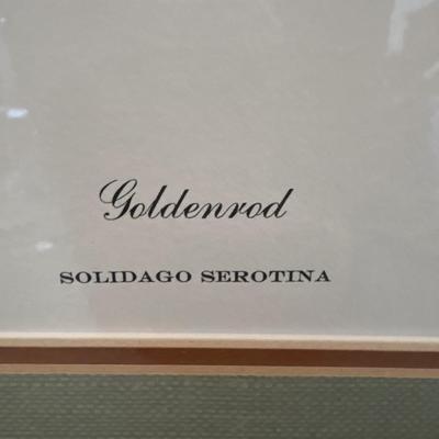 Sale Photo Thumbnail #647: 29x35