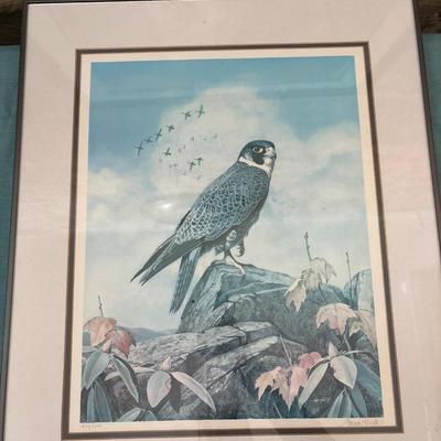 Sale Photo Thumbnail #656: Falcon 21x25.5. Girl 30.5x25. Girl frame and print need love