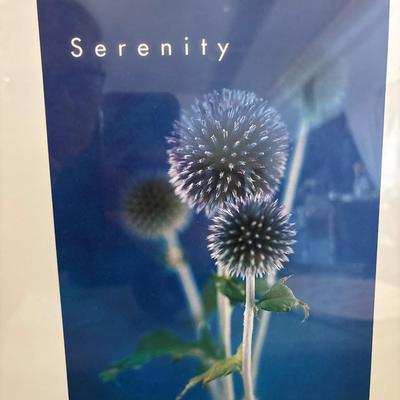 Sale Photo Thumbnail #666: 37 x 12 1/2