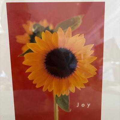 Sale Photo Thumbnail #665: 37 x 12 1/2