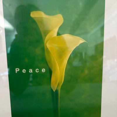 Sale Photo Thumbnail #664: 37 x 12 1/2