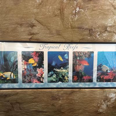 Sale Photo Thumbnail #668: See pics. 36.5 x 12.5