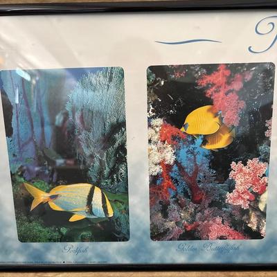 Sale Photo Thumbnail #669: See pics. 36.5 x 12.5