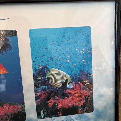 Sale Photo Thumbnail #671: See pics. 36.5 x 12.5