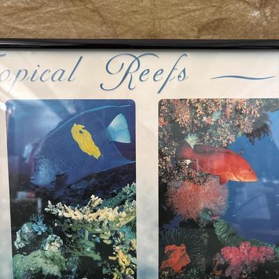 Sale Photo Thumbnail #670: See pics. 36.5 x 12.5