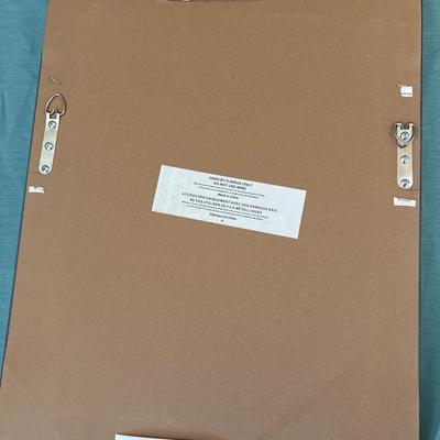 Sale Photo Thumbnail #695: Sorry for the bad pictures! In very nice condition no chips or anything 16 x 20