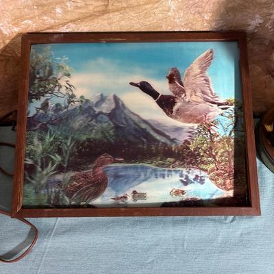 Sale Photo Thumbnail #723: 11 x 14