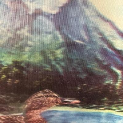 Sale Photo Thumbnail #724: 11 x 14