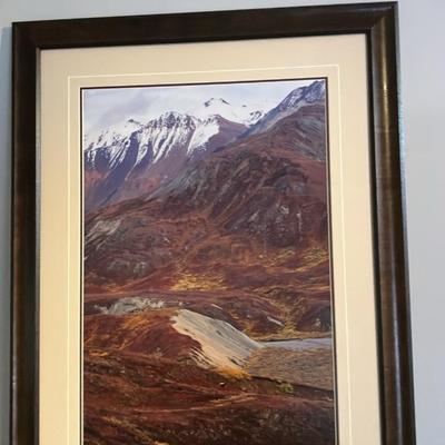 "Blueberries and Grizzly Bears" – Thomas D. Mangelsen Signed Limited Edition 61/1200, Framed