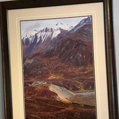 "Blueberries and Grizzly Bears" – Thomas D. Mangelsen Signed Limited Edition 61/1200, Framed
