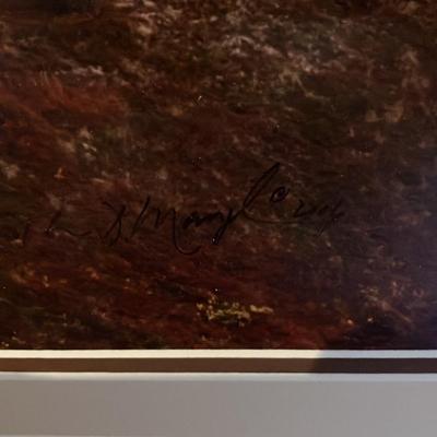 "Blueberries and Grizzly Bears" – Thomas D. Mangelsen Signed Limited Edition 61/1200, Framed