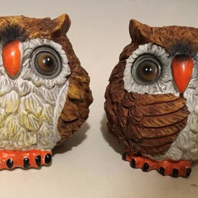 Owl Lot