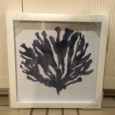 Framed Blue Coral Picture