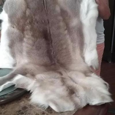 4'X3' Reindeer Hide (fur on)
