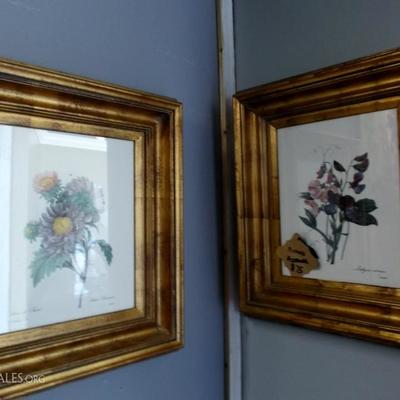 Pair of Framed Flower Prints