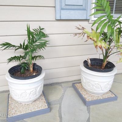 2 White Pottery Planters on Framed Pebble Tiles w/ Palms