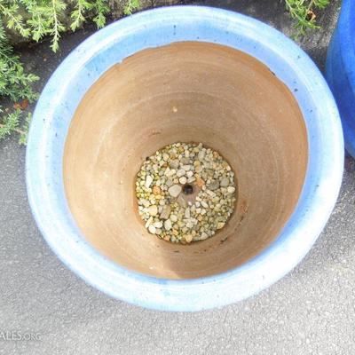 3 Pottery Planters and Pine Tree