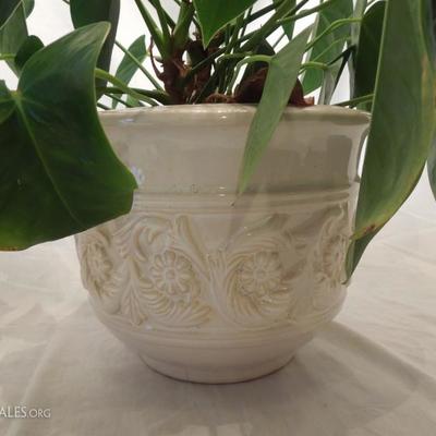 White Ceramic Planter with Live Anthurium Plant