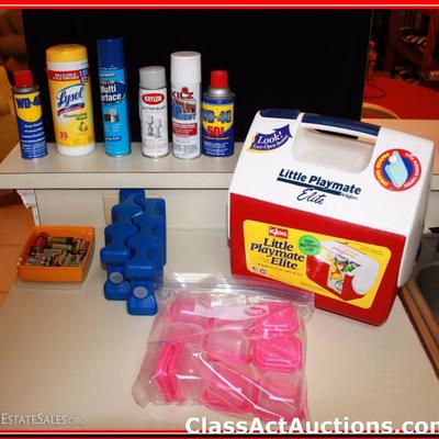 Household Chemicals & Cooler - Lot 396