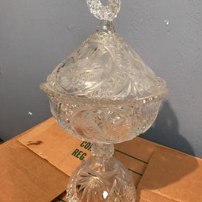 Hofbauerbyrdes clear crystal 