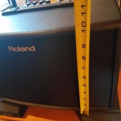 Lot-F3 Roland Acoustic Amp AC-60 w/ Case