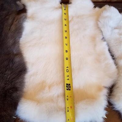 Lot-B35 5 Pc White & Brown Rabbit Fur Pelt Lot