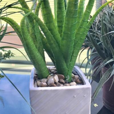 Aloe type fake plant