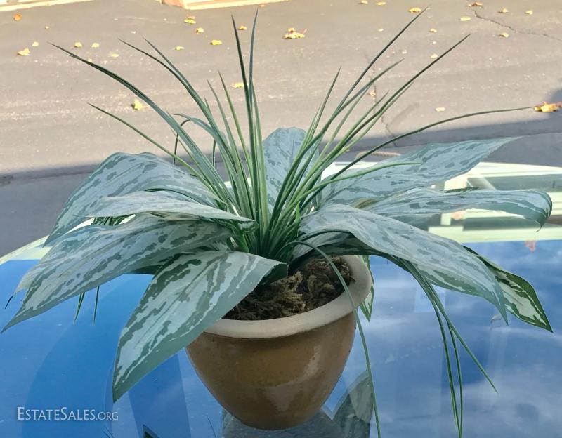 Silk house plant long leaves