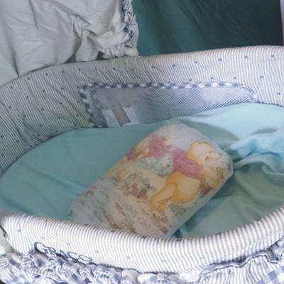 Graco Bassinet (w/ vibrate feature) and Linen basket below + linens thrown in