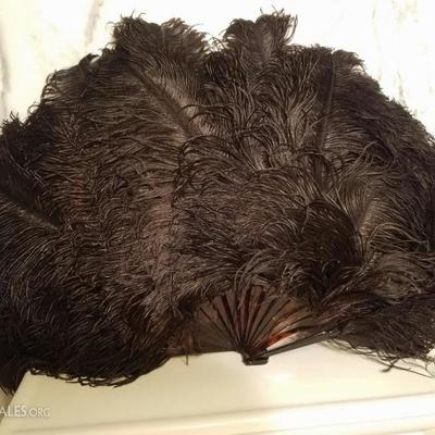 Victorian French Ostrich feather large fan bakelite sticks