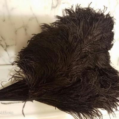 Victorian French Ostrich feather large fan bakelite sticks