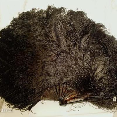 Victorian French Ostrich feather large fan bakelite sticks