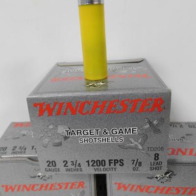 75 Count Winchester 20 Gauge  Target and Game  Load 8 Shot Shells