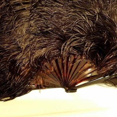 Victorian French Ostrich feather large fan bakelite sticks