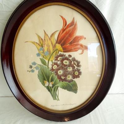 Lot 44 Vintage Framed Oval Lithograph of Tulips