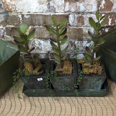 Green Metal Planters w/ Fuax Succulents 
