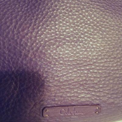 Cole Haan Purple leather large bag silver metal Hardware 