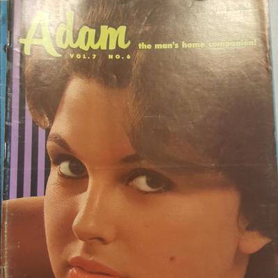 Vintage Adam Magazine Lot 13