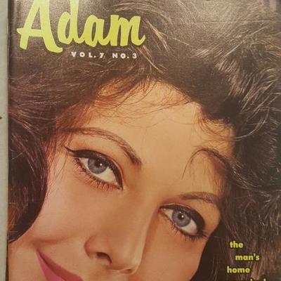 Vintage Adam Magazine Lot 10